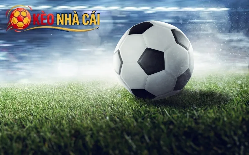 Tiêu chí lựa chọn nhà cái uy tín để xem tỷ lệ kèo